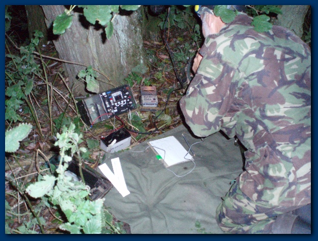 600x449 pixels (163K)